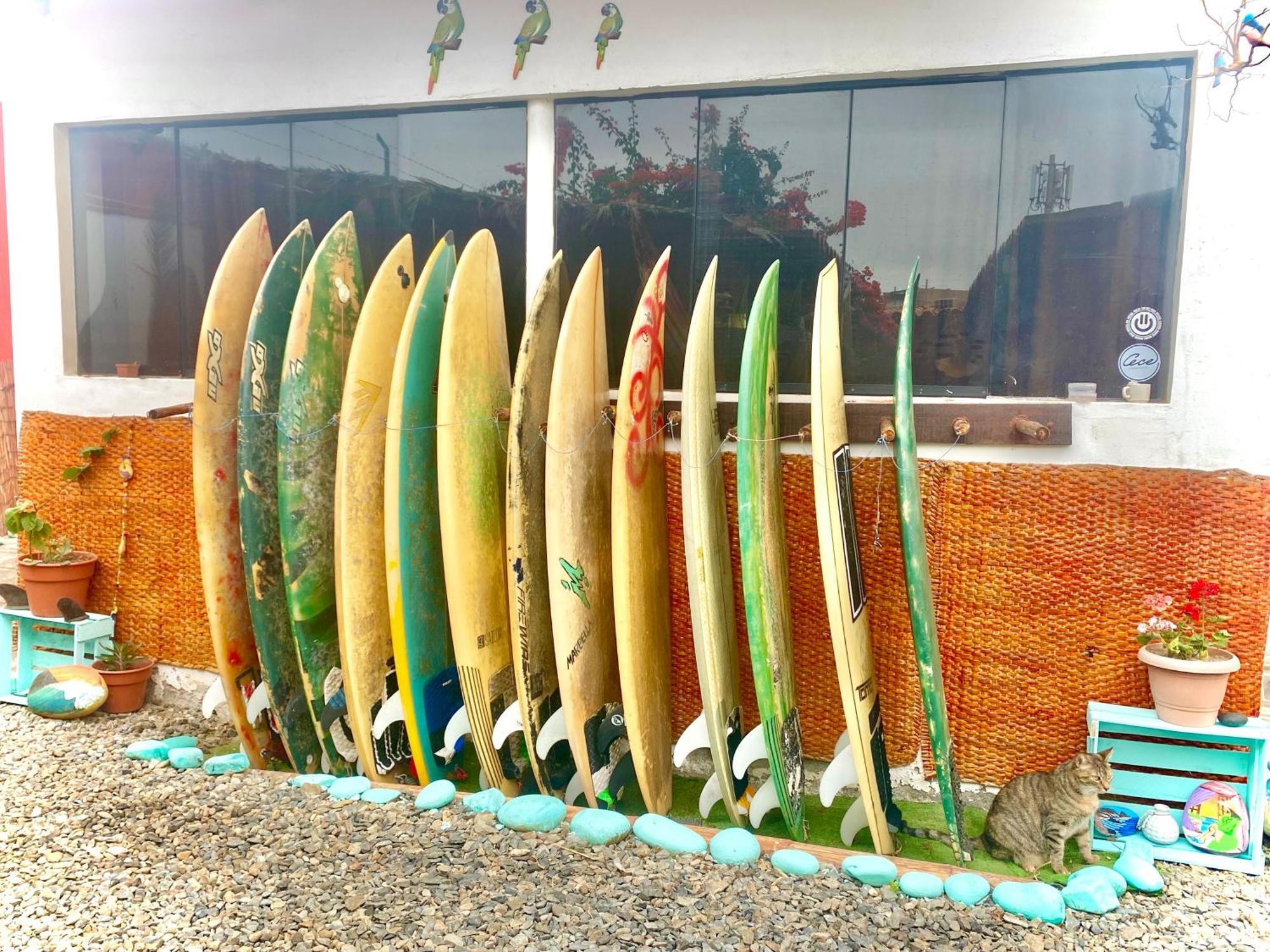Surf House Chicama Hotel Puerto Chicama Bagian luar foto